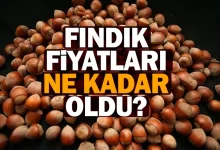 Fındık fiyatları yükselişe geçti: İl il serbest piyasa fiyatları açıklandı