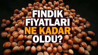 Fındık fiyatları yükselişe geçti: İl il serbest piyasa fiyatları açıklandı