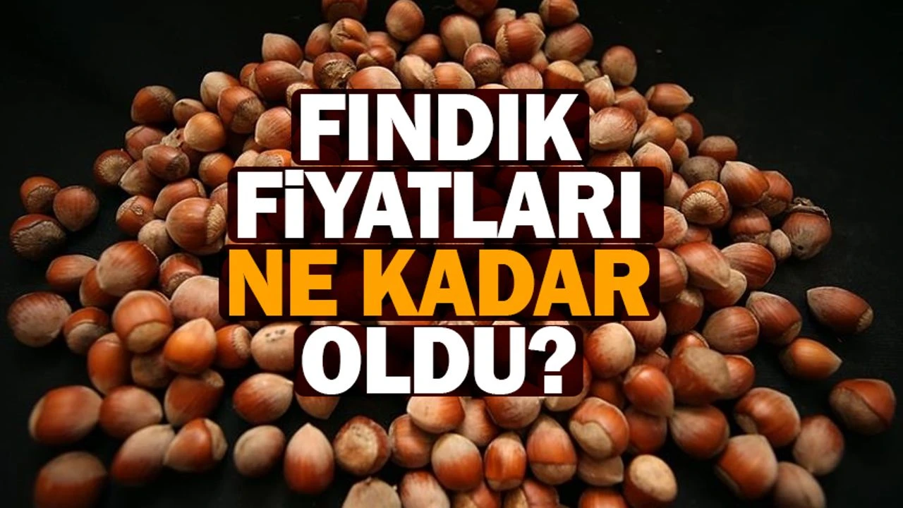 Fındık fiyatları yükselişe geçti: İl il serbest piyasa fiyatları açıklandı