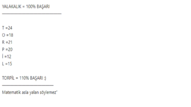 Profesörün Başarı formülü Olay Oldu: Torpil Yüzde 110 Başarı!