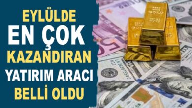 TÜİK Açıkladı: Eylül Ayında En Fazla Kazandıran Yatırım Araçları Belli Oldu!