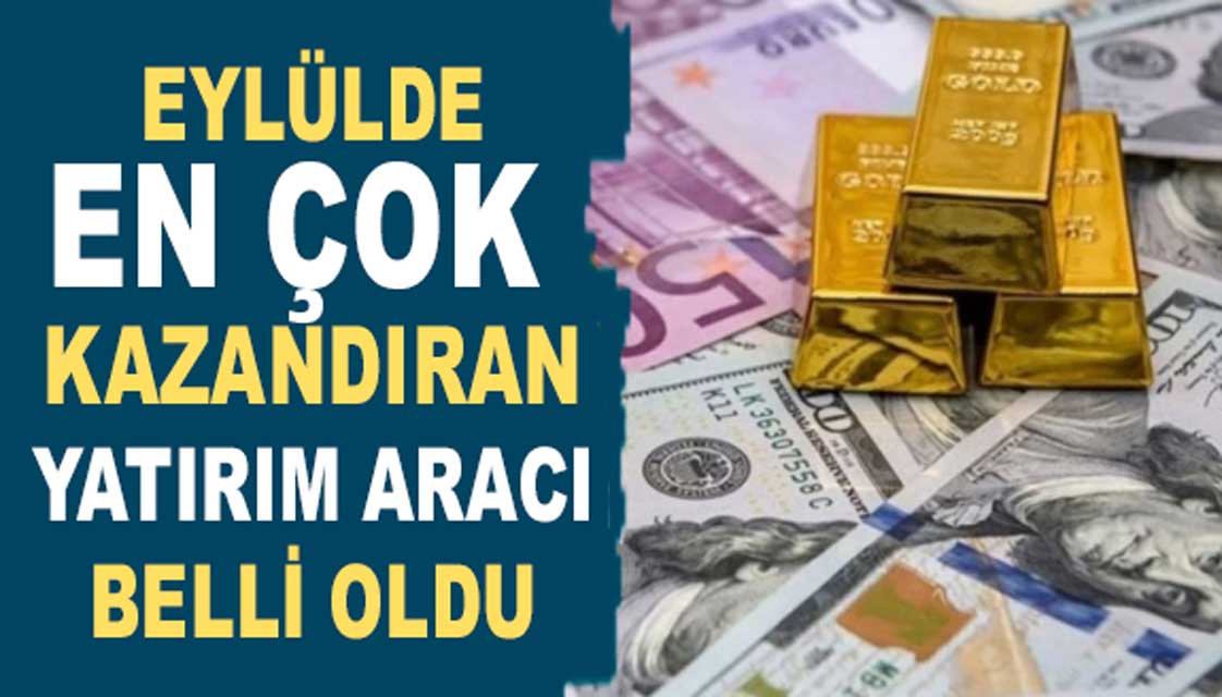 TÜİK Açıkladı: Eylül Ayında En Fazla Kazandıran Yatırım Araçları Belli Oldu!