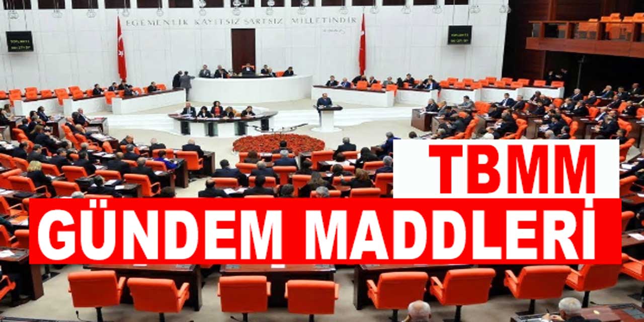 TBMM'de Yoğun Bir Hafta Başlıyor: İşte 8 Ekim 2024 Gündem Maddeleri