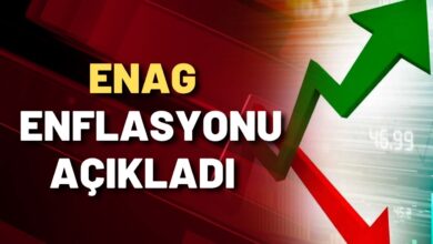 ENAG 2024 Eylül Ayı Enflasyonunu Açıkladı